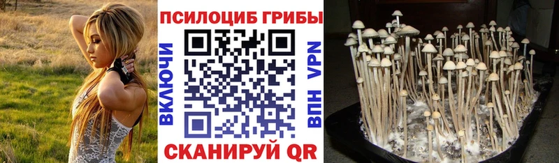 Псилоцибиновые грибы мицелий  Карпинск 